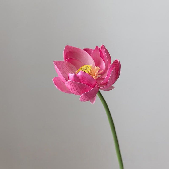 Realistische Lotus Bloem Arrangement