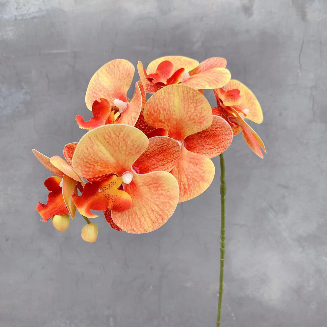 Realistische Kunstmatige Orchidee Stengel
