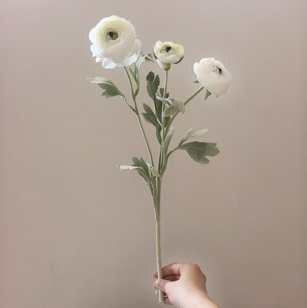Realistische Ranunculus Bloemensteel