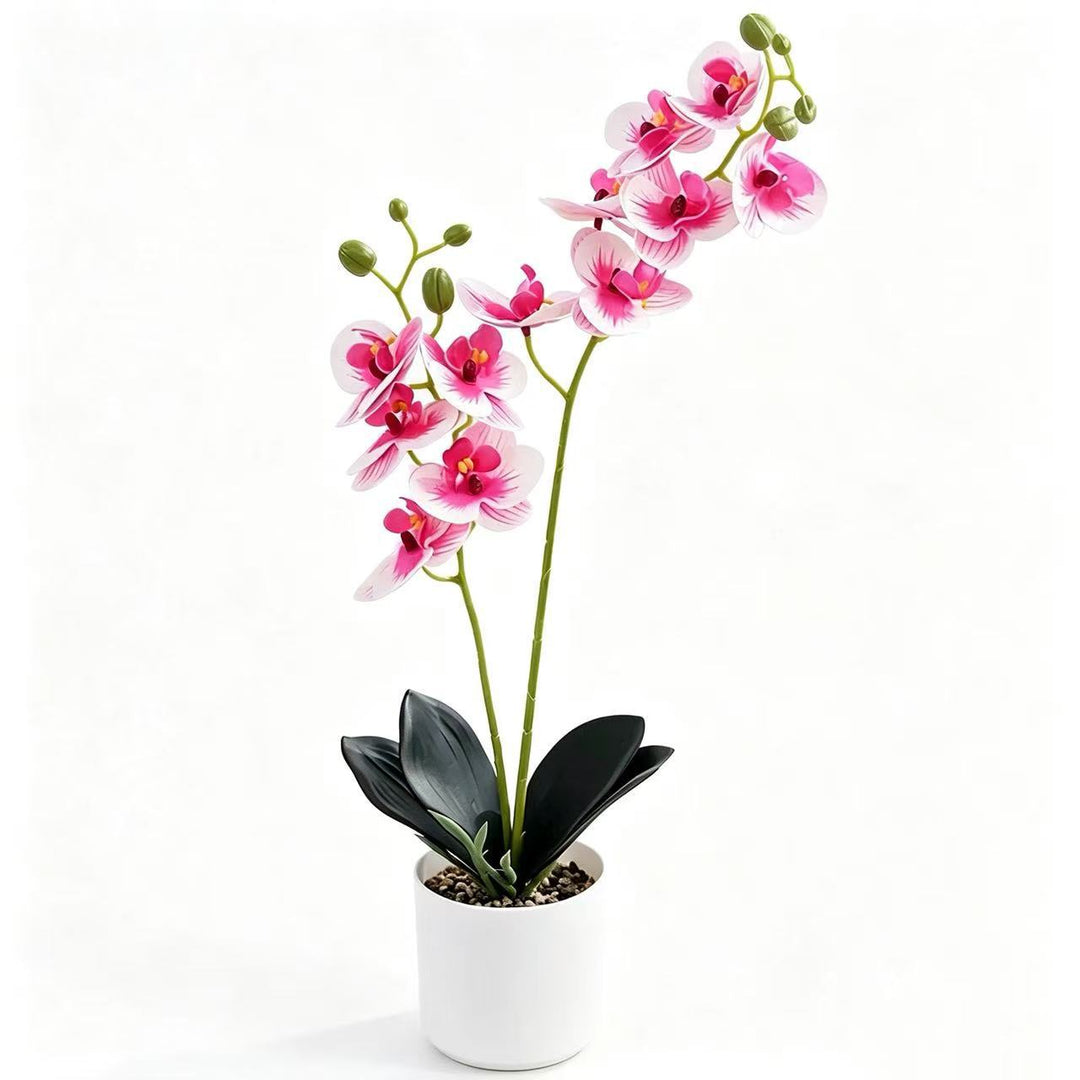 Levensechte Orchidee Huisdecoratie