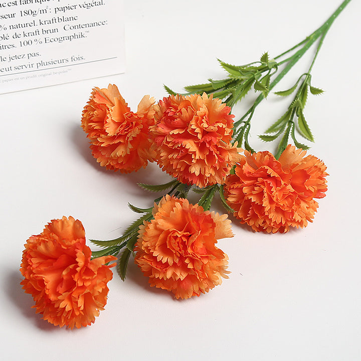 Realistische Bloemen Anjers Boeket