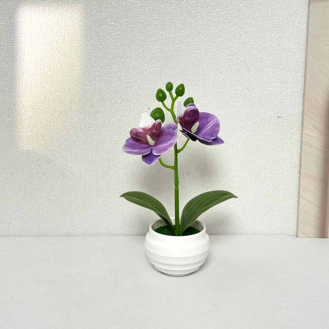 Levensechte Decoratieve Orchidee Plant Arrangement voor Huisdecoratie