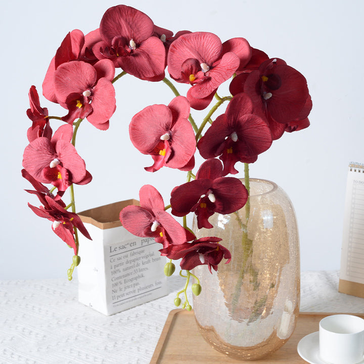 Elegante Kunstmatige Orchidee Stelen