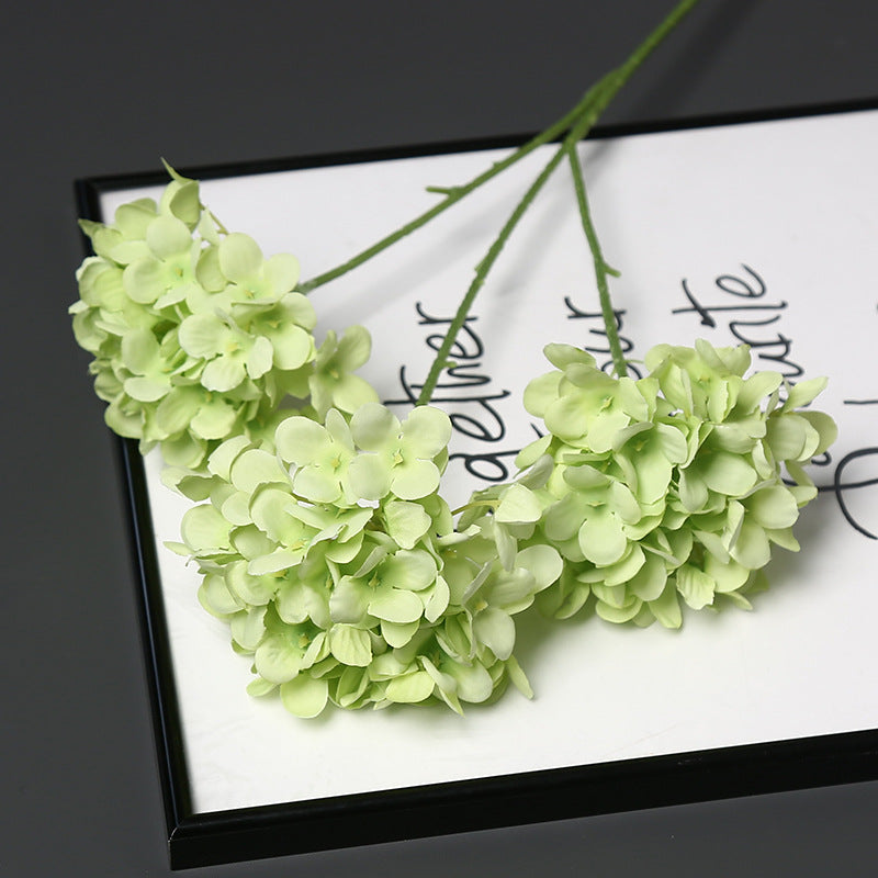 Decoratieve Nepbloem voor Huisdecoratie