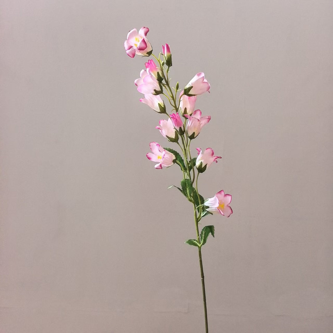Levensechte Bloemige Orchidee Steel