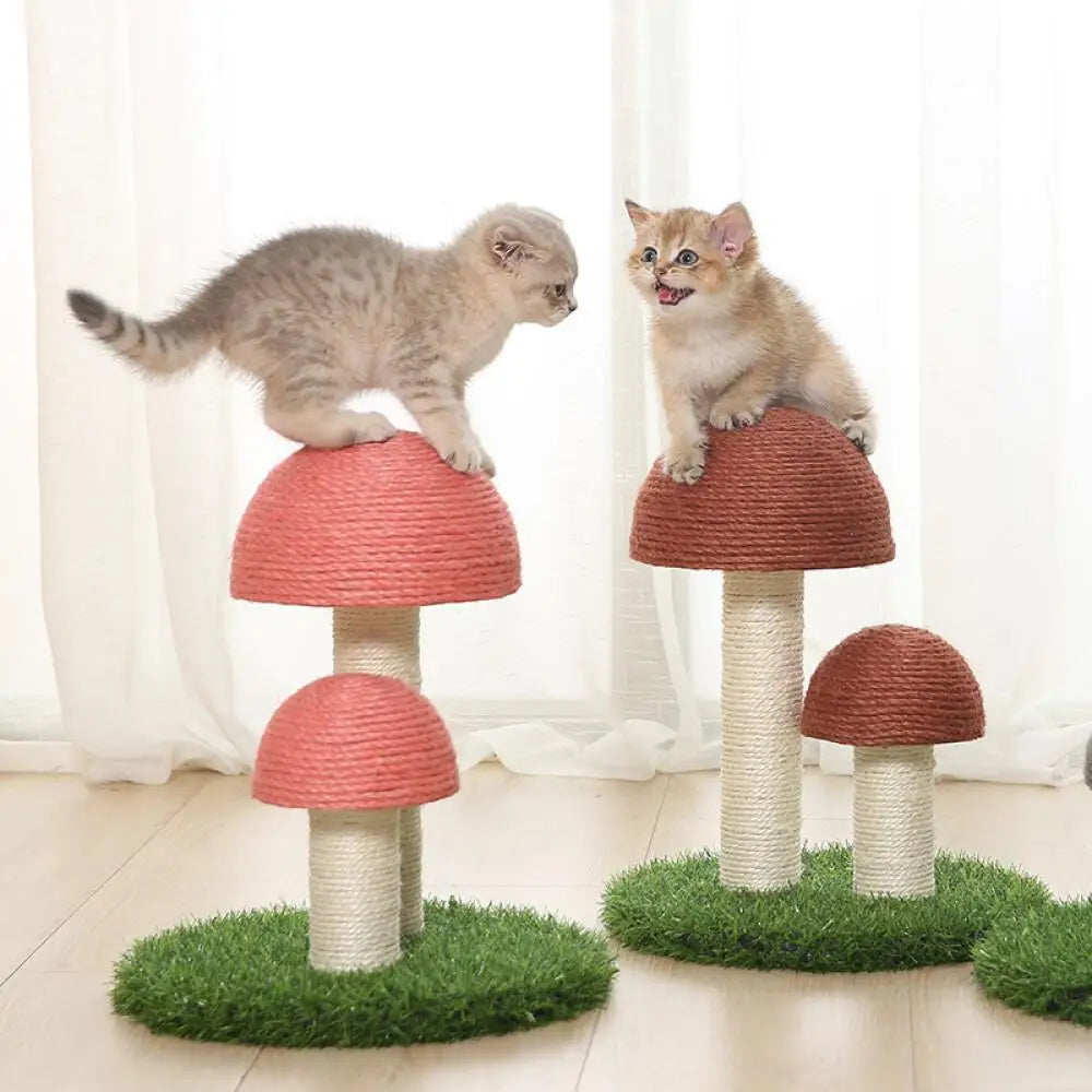 Sisal Kat Paddenstoel Krabpaal Arosta