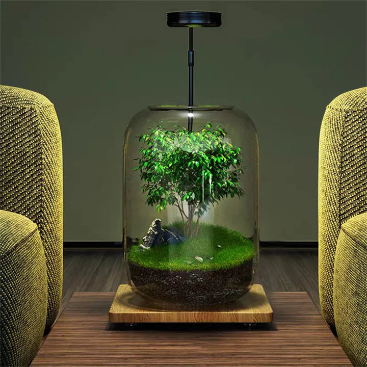 Micro Landscape Groene Oase Glazen Vaas | Arosta