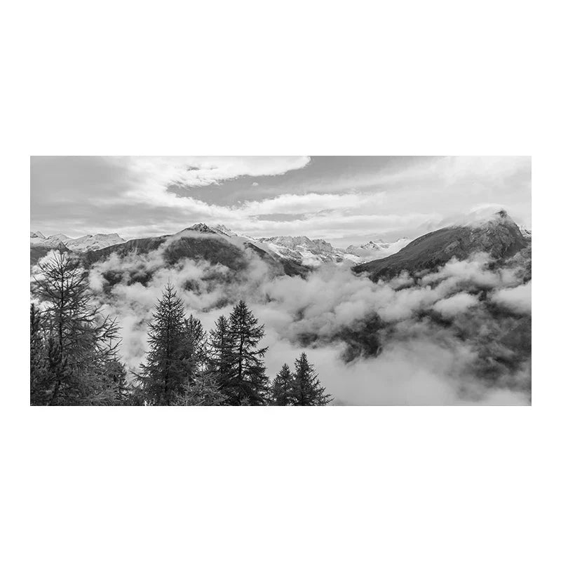 Noordelijke Landschappen Bos Berg Wildernis Wanddecoratie Fotokunst Canvas Prints Zwart Wit Posters voor Woonkamer Moderne Thuis Kantoor Decor