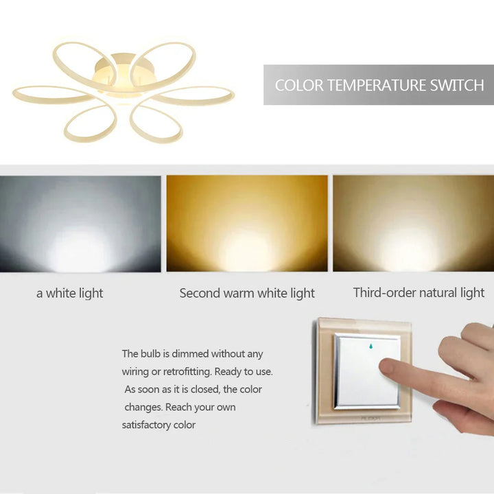Flush Mount Lamp 12W Woonkamer Hal Lichten Drie Kleuren Moderne Stijl Plafondlamp Super Helder Oogzorg voor Hal Trappen
