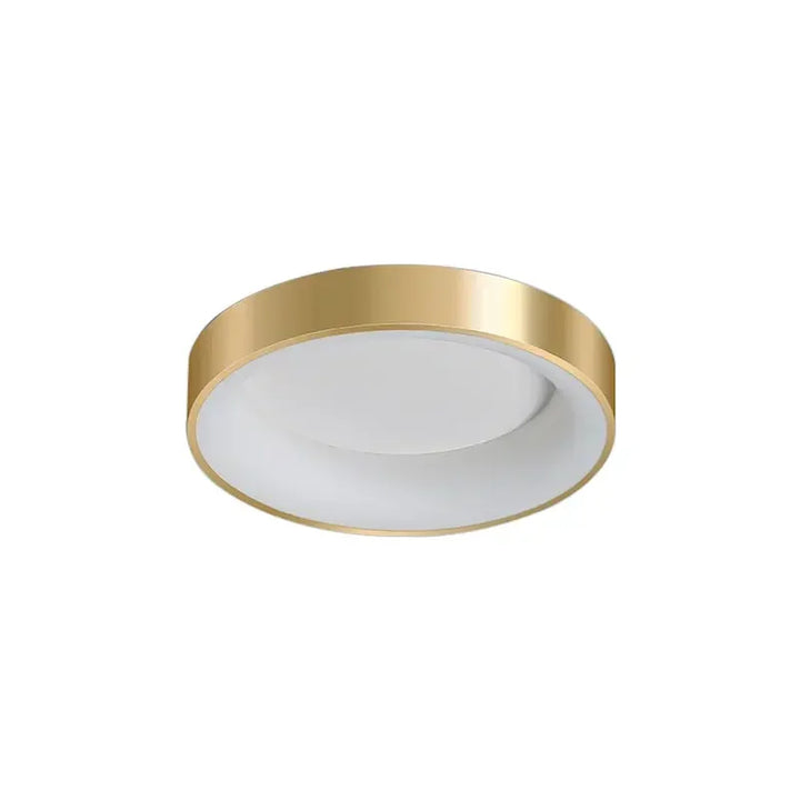 Moderne LED plafondlamp – Dimbare gouden opbouwlamp voor slaapkamer, werkkamer, balkon en hal