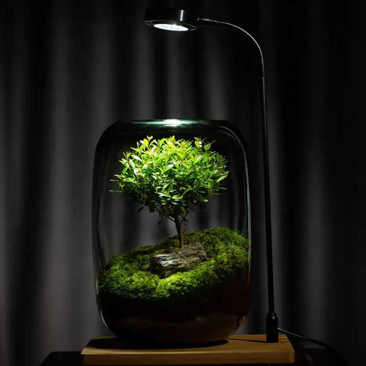 Micro Landscape Groene Oase Glazen Vaas | Arosta