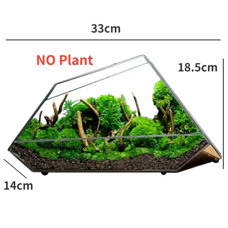 Geometrische glazen mos planter terrarium vaas
