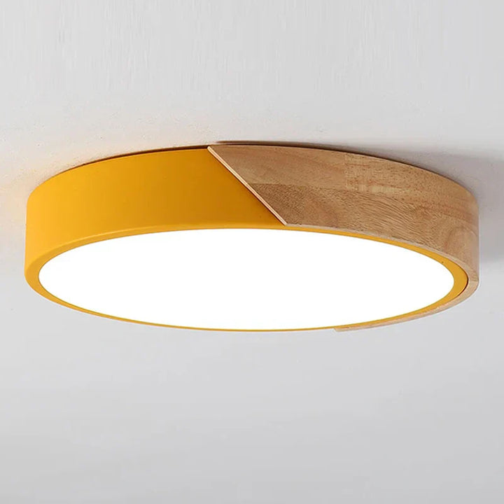 LED plafondlamp voor kamerdecoratie voor slaapkamer, gang, balkon, woonkamer kroonluchter