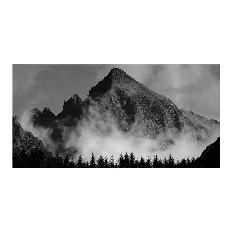 Noordelijke Landschappen Bos Berg Wildernis Wanddecoratie Fotokunst Canvas Prints Zwart Wit Posters voor Woonkamer Moderne Thuis Kantoor Decor