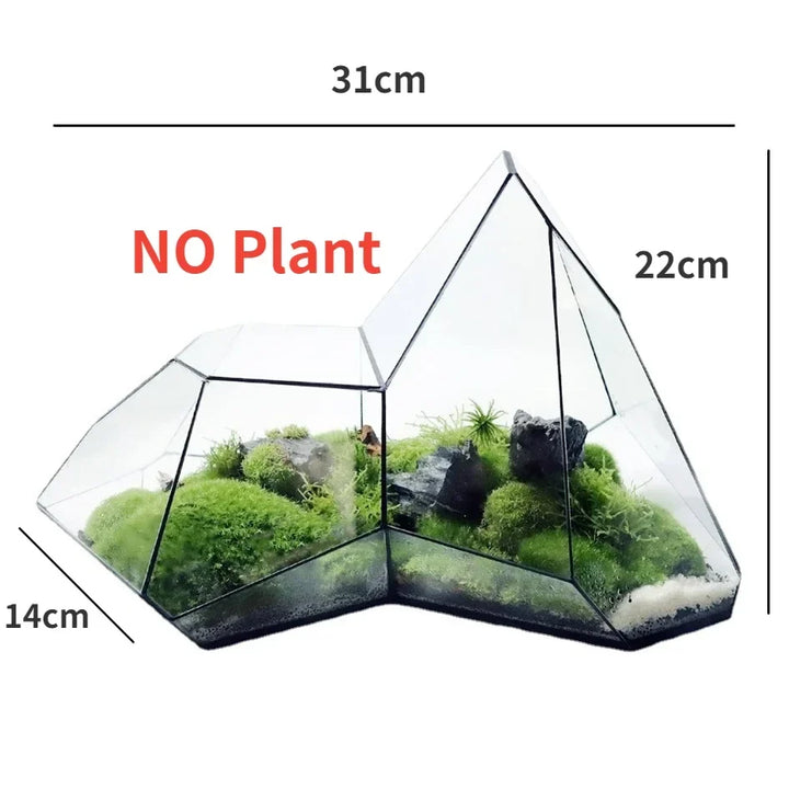 Geometrische glazen mos planter terrarium vaas