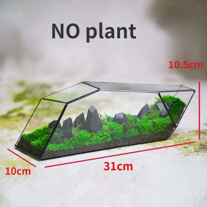Geometrische glazen mos planter terrarium vaas