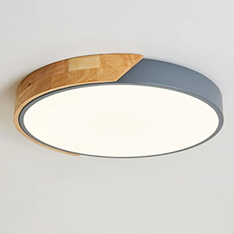 LED plafondlamp voor kamerdecoratie voor slaapkamer, gang, balkon, woonkamer kroonluchter