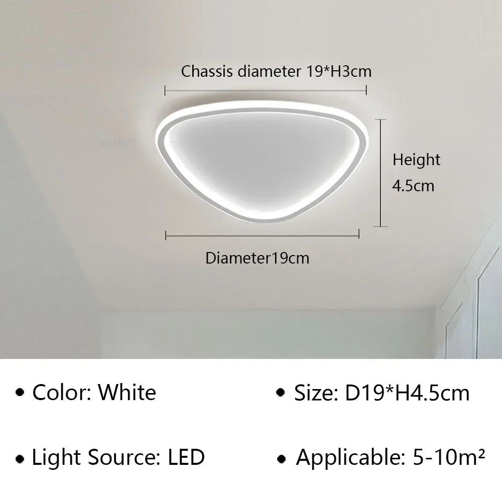 Moderne LED plafondlamp - Elegante ovale vorm voor veelzijdige binnenverlichting