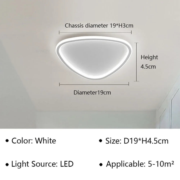 Moderne LED plafondlamp - Elegante ovale vorm voor veelzijdige binnenverlichting