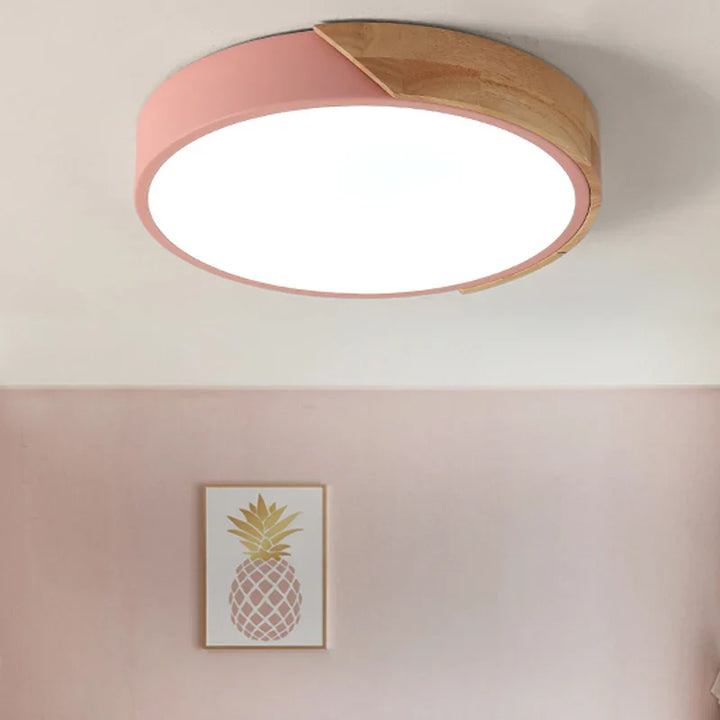 LED plafondlamp voor kamerdecoratie voor slaapkamer, gang, balkon, woonkamer kroonluchter