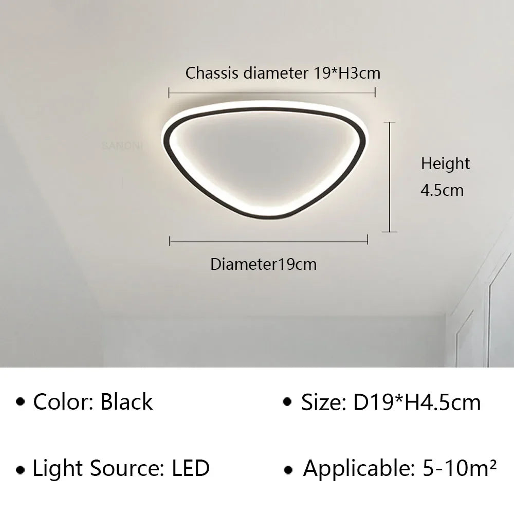 Moderne LED plafondlamp - Elegante ovale vorm voor veelzijdige binnenverlichting