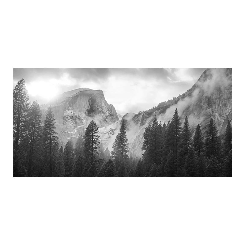 Noordelijke Landschappen Bos Berg Wildernis Wanddecoratie Fotokunst Canvas Prints Zwart Wit Posters voor Woonkamer Moderne Thuis Kantoor Decor