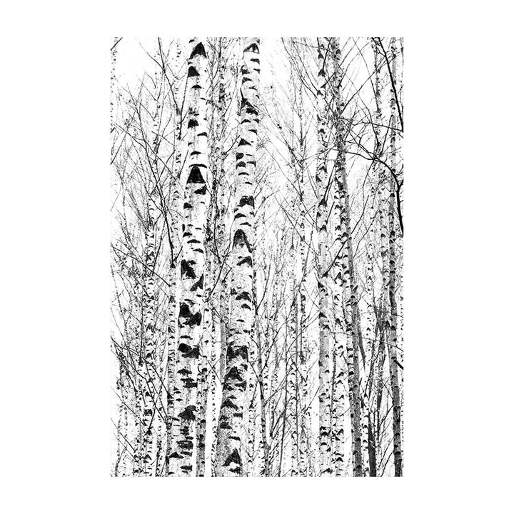 Nördliche Wildnis Adler Hirsch Landschaft Wandkunst Fine Art Leinwanddrukken Beelden Voor Woonkamer Eetkamer Nordic Thuisdecor