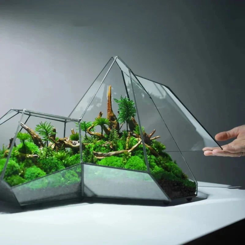 Geometrische glazen mos planter terrarium vaas
