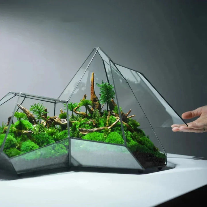 Geometrische glazen mos planter terrarium vaas