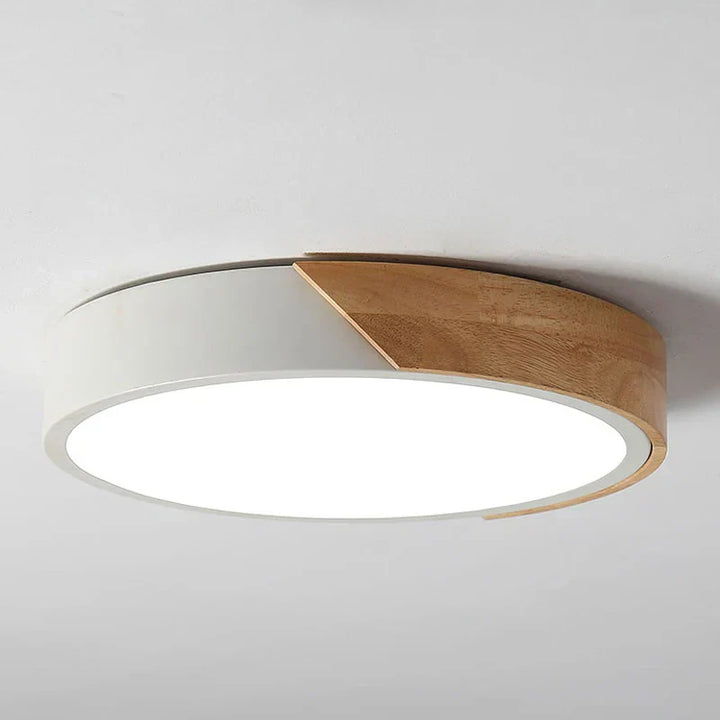 LED plafondlamp voor kamerdecoratie voor slaapkamer, gang, balkon, woonkamer kroonluchter