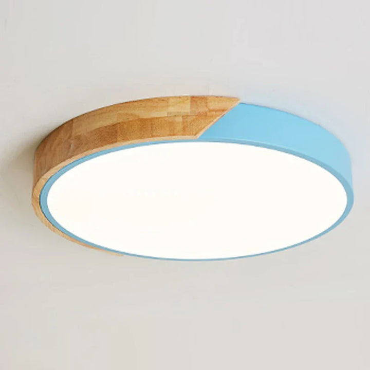 LED plafondlamp voor kamerdecoratie voor slaapkamer, gang, balkon, woonkamer kroonluchter