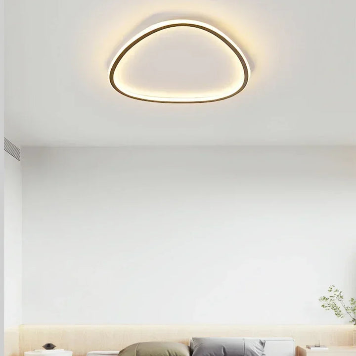 Moderne LED plafondlamp - Elegante ovale vorm voor veelzijdige binnenverlichting