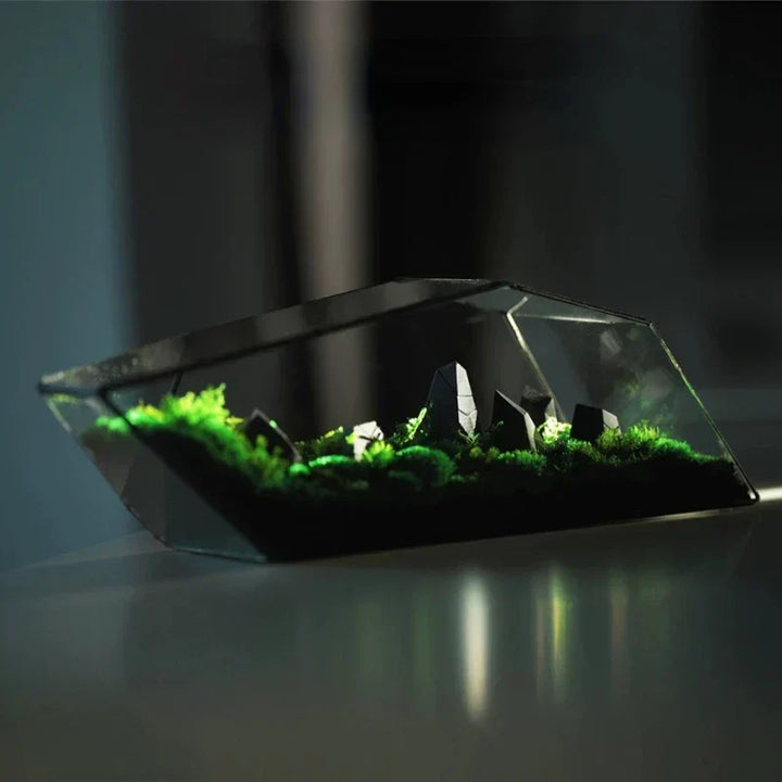 Geometrische glazen mos planter terrarium vaas