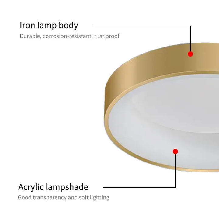 Moderne LED plafondlamp – Dimbare gouden opbouwlamp voor slaapkamer, werkkamer, balkon en hal