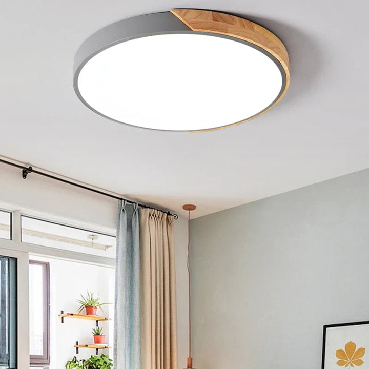 LED plafondlamp voor kamerdecoratie voor slaapkamer, gang, balkon, woonkamer kroonluchter