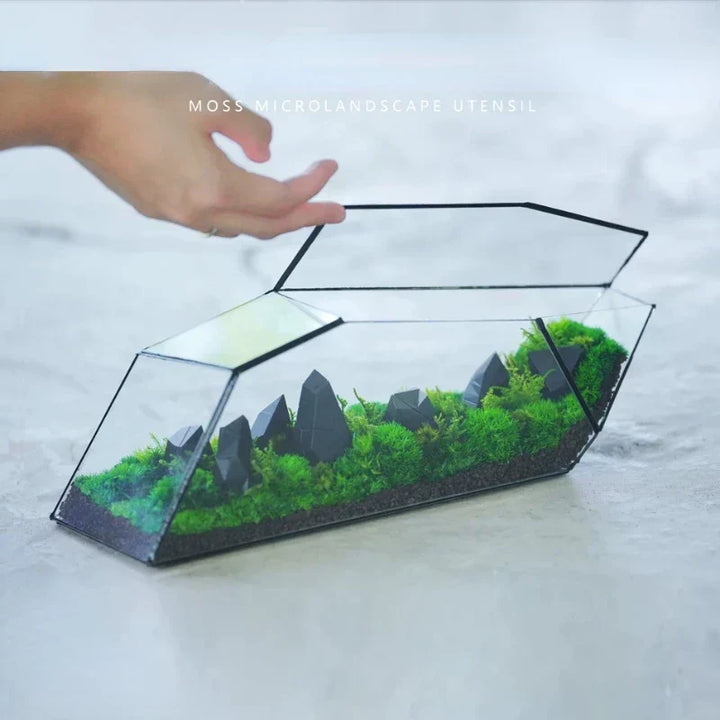 Geometrische glazen mos planter terrarium vaas