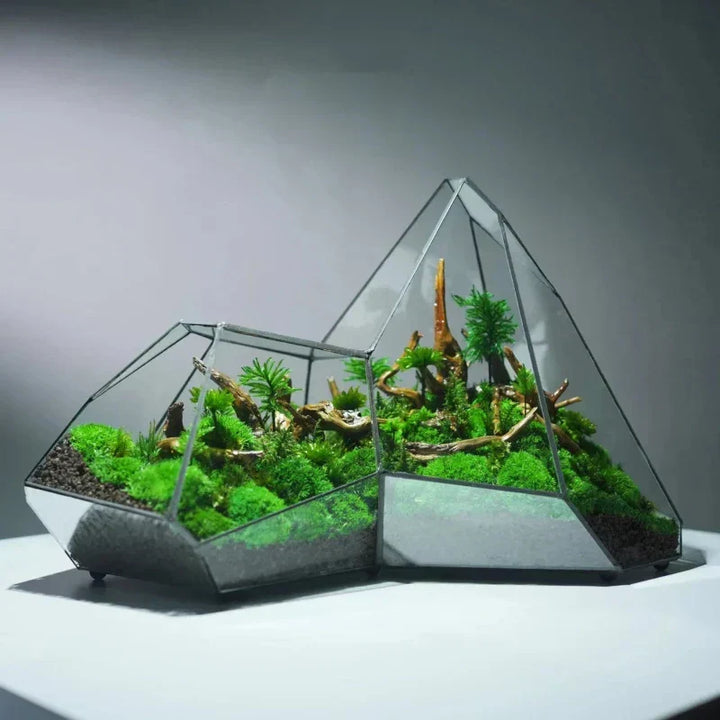 Geometrische glazen mos planter terrarium vaas