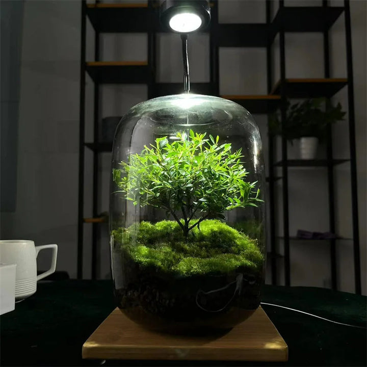 Micro Landscape Groene Oase Glazen Vaas | Arosta