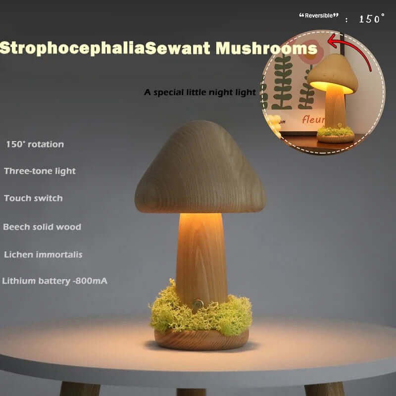 Verdrehte Paddenstoel Nacht Warm Licht Aanraak Slaapkamer Hoofdbord Nachtlampje Beukenhout LED USB Decoratieve Sfeerlampen Woondecoratie