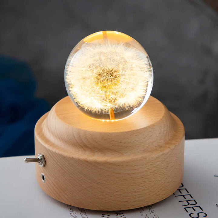 LED Nachtlamp Flower Crystal Ball Kinder Nachtkast Lamp met Houten Basis Slaapkamer Sfeerverlichting Creatief Cadeau Nachtlamp
