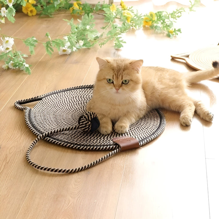 Arosta | Katoenen Kat Krabmat gemaakt van Touw - ClawGuard