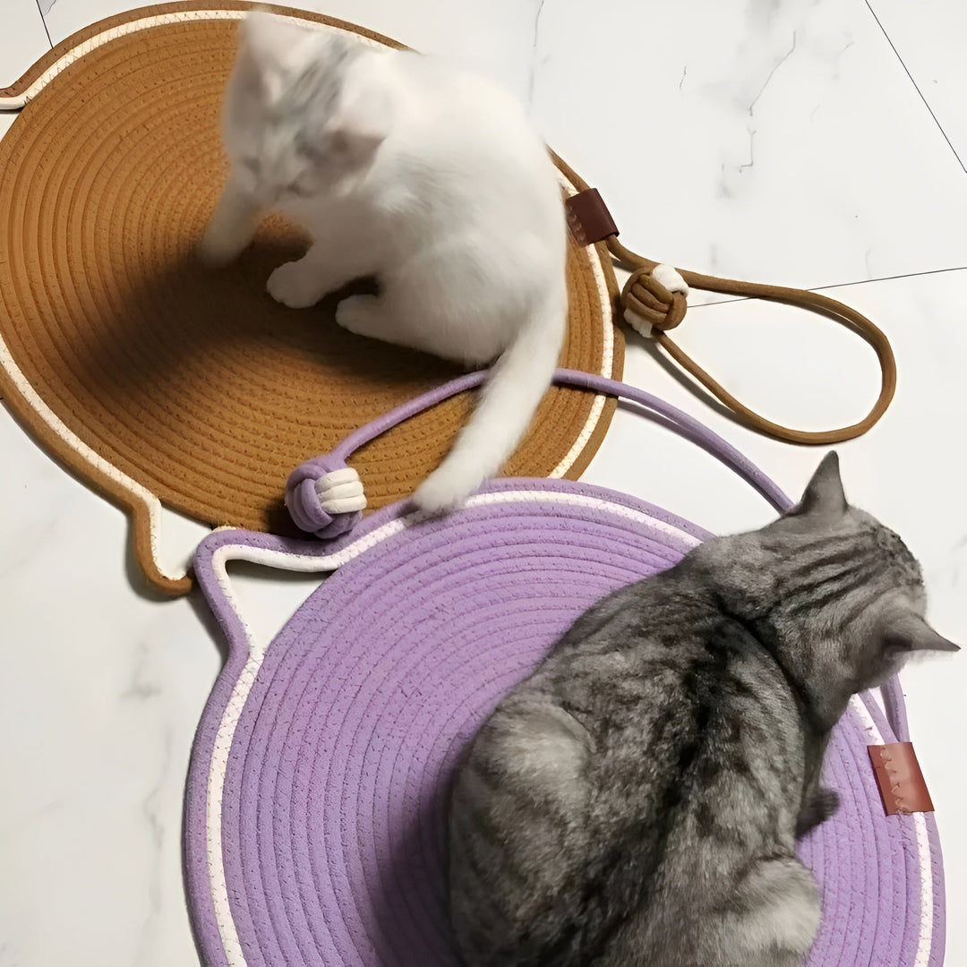 Arosta | Katoenen Kat Krabmat gemaakt van Touw - ClawGuard