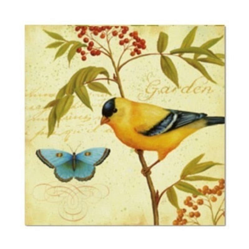Vintage Europa Vogels Vlinder Bloemen - Canvas Muurkunst Schilderij