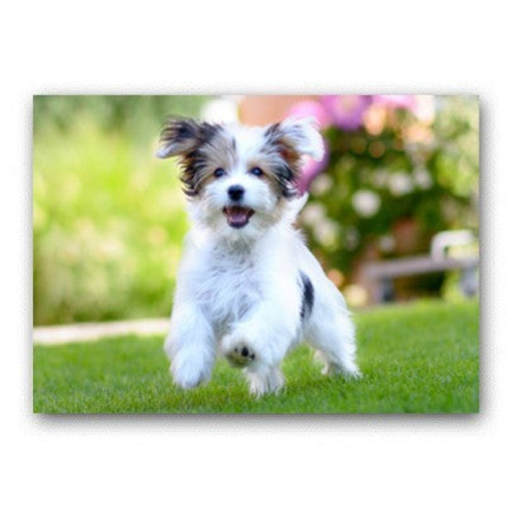 Liebes modernes Haustier Hond - Canvas Muurkunst Schilderij