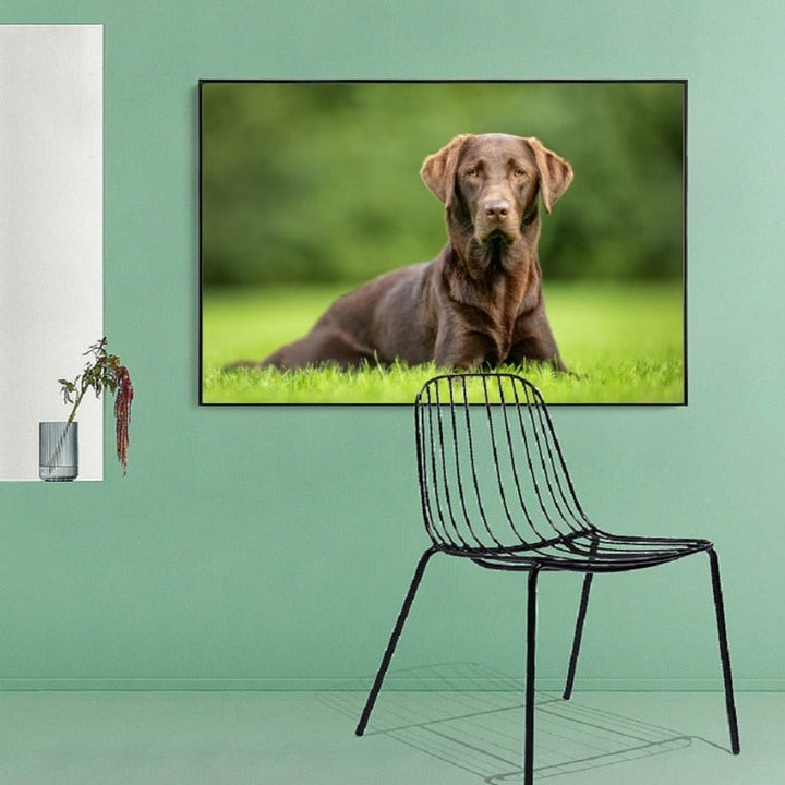 Liebes modernes Haustier Hond - Canvas Muurkunst Schilderij