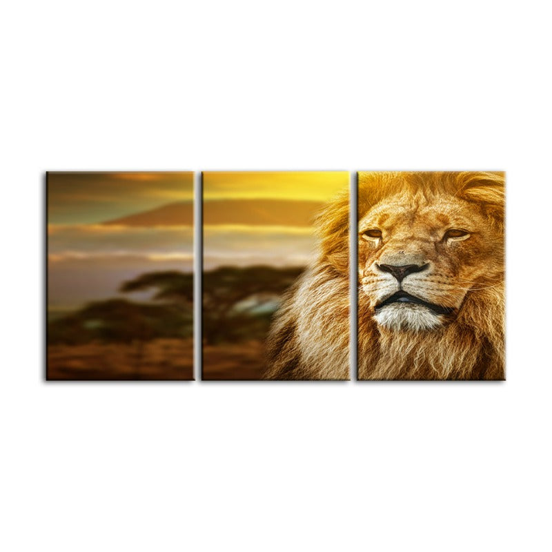 Ongeïnteresseerde Leeuw-Canvas Wandkunst Schilderij 3 Delen