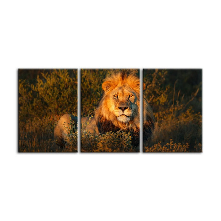 Goddelijke Zonsopgang Leeuw Canvas Wanddecoratie Schilderij 3 Stukken