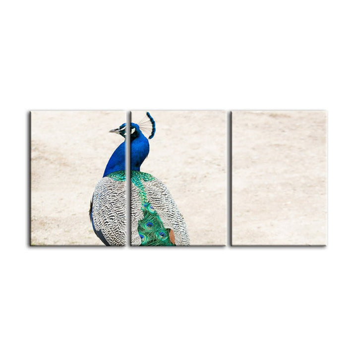 Rock elegante Pfau-Leinwand Wandkunst Schilderij 3 delen