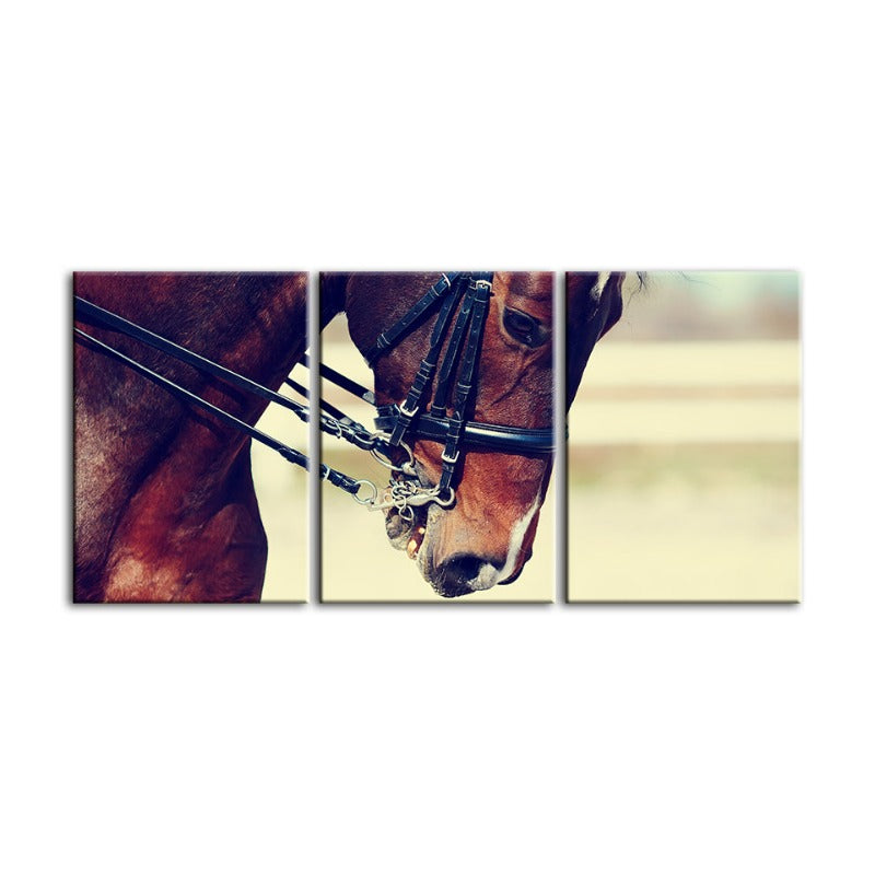Graceful Halter Paard Canvas Muur Kunst Schilderij 3 Stukken
